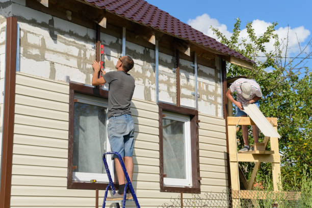 Best Fascia and Soffit Installation  in Holbrook, AZ
