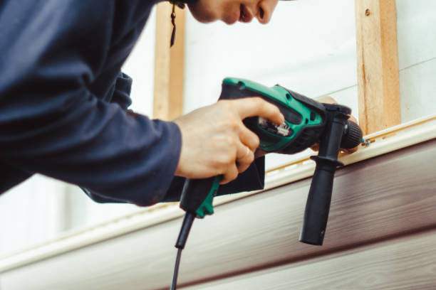 Best Historical Building Siding Restoration  in Holbrook, AZ